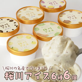 【ふるさと納税】【生産者支援】桜川アイス 6種 6個 or 12個セット 数量限定 食べ比べ 90ml×6種類 桜川市のこだわり素材を使用 アイス あいす デザート スイーツ 産地限定 おやつ カップ フレーバー メロン ゆず 蜜芋 コーヒー 栗 茨城県