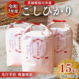 yӂ邳Ɣ[ŁzyYҎxz sߘa7NY s\t錧 sY Ђ 5kg 10kg 15kg 錧Y     R ͂  RVqJ Y  