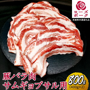 yӂ邳Ɣ[Łz[Y|[N o TMvT p v 800g ( 400g ×2 ) (錧ʕԗi) 錧Y uh  ؓ  Y Y ؃o ē Ⓚ  䏤X