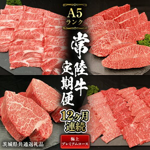 yӂ邳Ɣ[Łzy  12 A z 헤 ō A5 N ̂ ɏ v~A R[X 錧ʕԗi јa Yјa a Y     Ђ