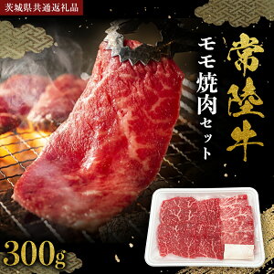 yӂ邳Ɣ[Łz헤  ēZbg 300g (錧ʕԗi) Yјa јa Y Y a      X Ђ uh A4 A5 N BBQ o[xL[ 