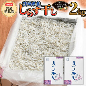 yӂ邳Ɣ[Łz錧Y炷 2kg ( 錧ʕԗi  ) ӂ邳Ɣ[ 炷 炷 VX VX  H Ɩp 錧  