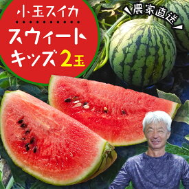 【ふるさと納税】 【2026年5月下旬より発送開始】 小玉 スイカ スウィートキッズ 2玉 セット 先行予約 小玉スイカ すいか 西瓜 こだますいか フルーツ 果物 くだもの 農家直送 旬 甘い ギフト 人気 産直