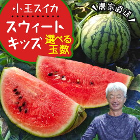 【ふるさと納税】《 2027年 収穫分 》 小玉 スイカ スウィートキッズ 2玉 4玉 先行予約 国産 藤田益弘 小玉スイカ すいか 小玉すいか こだますいか 国産 西瓜 フルーツ 果物 くだもの 農家直送 旬 甘い ギフト 人気 産直