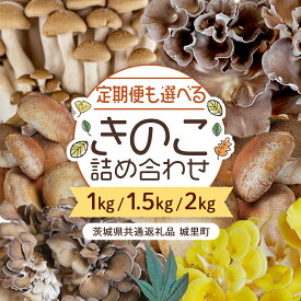 【ふるさと納税】《 定期便も選べる 》 きのこ の 詰め合わせ 約1～2kg （茨城県共通返礼品 城里町） 定期便 S M L キノコ 舞茸 あわび茸 たもぎ茸 しいたけ ぶなしめじ セット 鍋 炒め物