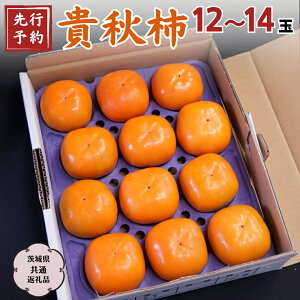 yӂ邳Ɣ[Łzs s\ 2025N11{ȍ~ tMH` 12`14 (錧ʕԗi Ήs) ʕ  t[c ` 