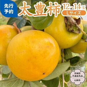 yӂ邳Ɣ[Łzs s\ 2025N11{ȍ~ tL` 12`14 (錧ʕԗi Ήs) ʕ  t[c ` 