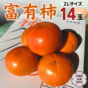 yӂ邳Ɣ[Łz s s\ 2025N11{ȍ~ t xL` 2L 14 (錧ʕԗi Ήs) ʕ  t[c ` 