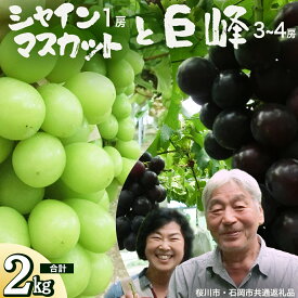 【ふるさと納税】 シャインマスカット＆巨峰セット 合計 約2kg (桜川市・石岡市共通返礼品） 2026年9月上旬発送開始 開田ぶどう園 産地直送 フルーツ 甘い 直送 茨城 限定 ギフト ぶどう シャインマスカット 果物