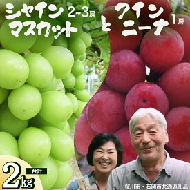 【ふるさと納税】クインニーナ ＆ シャインマスカット 詰め合わせ 約2kg (桜川市・石岡市共通返礼品） 2026年9月上旬発送開始 開田ぶどう園 産地直送 フルーツ 甘い 直送 茨城 限定 ギフト ぶどう クインニーナ シャインマスカット 果物