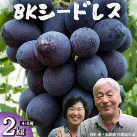 【ふるさと納税】 BKシードレス 約2kg (桜川市・石岡市共通返礼品） 2026年9月上旬発送開始 開田ぶどう園 産地直送 フルーツ 甘い 直送 茨城 限定 ギフト ぶどう BKシードレス 果物
