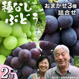 【ふるさと納税】おまかせ 種なし葡萄 3種 詰め合わせ 約2kg (桜川市・石岡市共通返礼品） 2026年9月中旬発送開始 開田ぶどう園 産地直送 フルーツ 甘い 直送 茨城 限定 ギフト ぶどう シャインマスカット ナガノパープル 果物