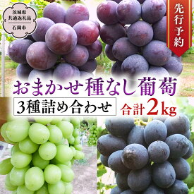 【ふるさと納税】《 先行予約 》 おまかせ 種なし葡萄 3種 詰め合わせ 約2kg (茨城県共通返礼品 石岡市） 開田ぶどう園 産地直送 フルーツ 甘い 直送 茨城 限定 ギフト ぶどう シャインマスカット ナガノパープル 果物