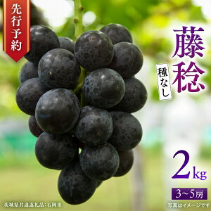 yӂ邳Ɣ[Łzs 2025N9{Jn t Ȃ  2kg (錧ʕԗi Ήs) JcԂǂ Yn t[c Â    Mtg Ԃǂ ʕ