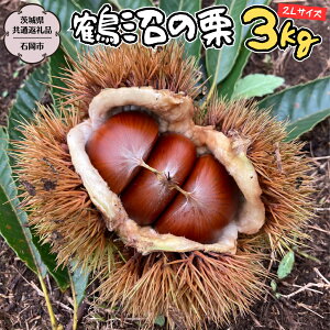 yӂ邳Ɣ[Łzs 2025N9{Jn tߏ  I (錧ʕԗi^Ήs) aI YI  I I I[KjbN엿 ʂ܂鉀 s\