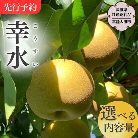 【ふるさと納税】《 先行予約 》茨城県産 梨 幸水 【茨城県共通返礼品／常陸太田市】 約3kg 約5kg 桧山果樹園 農家直送 フルーツ 甘い 直送 茨城 限定 ギフト 梨 幸水 こうすい 果物