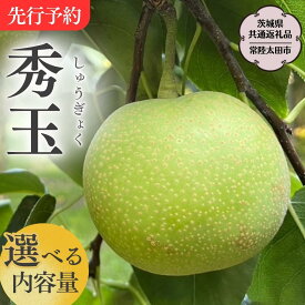 【ふるさと納税】《 先行予約 》 『幻の梨』茨城県産 梨 秀玉【茨城県共通返礼品／常陸太田市】 約3kg 約5kg 桧山果樹園 農家直送 桧山果樹園 農家直送 フルーツ 甘い 直送 茨城 限定 ギフト 梨 秀玉 しゅうぎょく 果物