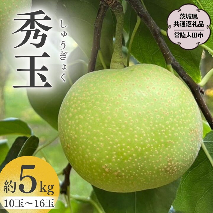 楽天市場】【ふるさと納税】《2025年9月上旬発送開始》茨城県産 『幻の 