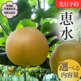 【ふるさと納税】《 先行予約 》 茨城県産 梨 恵水【茨城県共通返礼品／常陸太田市】 約3kg 約5kg 桧山果樹園 農家直送 桧山果樹園 農家直送 フルーツ 甘い 直送 茨城 限定 ギフト 梨 恵水 けいすい 果物