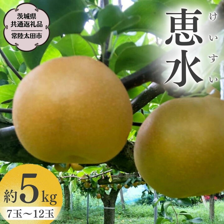 楽天市場】【ふるさと納税】《2025年9月上旬発送開始》 茨城県産 梨 
