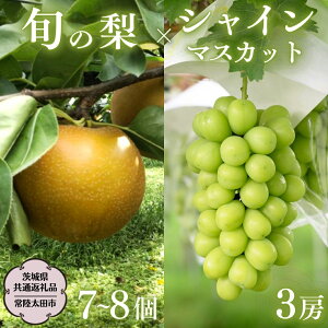 yӂ邳Ɣ[Łzs2025N9{Jnt 錧Y u VC}XJbg 3[ v Ɓu{  v lߍ킹  5kgy錧ʕԗi^헤csz ORʎ _ƒ ORʎ _