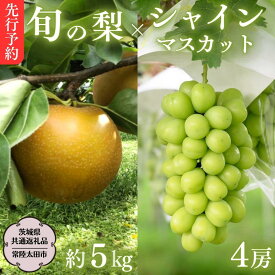 【ふるさと納税】《 先行予約 》 茨城県産 シャインマスカット4房と旬の梨詰め合わせ 約5kg【茨城県共通返礼品／常陸太田市】 桧山果樹園 農家直送 桧山果樹園 農家直送 フルーツ 甘い 直送 茨城 限定 ギフト ぶどう シャインマスカット 旬 梨 秀玉 恵水 秋月 詰め合わせ