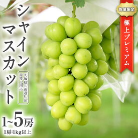 【ふるさと納税】《 選べる 房数 》《2026年9月中旬発送開始》極上 プレミアム シャインマスカット 1房 2房 3房 5房 ( 1房 1kg 以上) 数量限定 【茨城県共通返礼品／常陸太田市】 桧山果樹園 農家直送 桧山果樹園 農家直送 フルーツ 甘い 直送 茨城 限定 ギフト ぶどう 旬