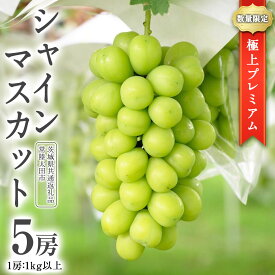 【ふるさと納税】《 選べる 房数 》《2025年9月中旬発送開始》極上 プレミアム シャインマスカット 1房 2房 3房 5房 ( 1房 1kg 以上) 数量限定 【茨城県共通返礼品／常陸太田市】 桧山果樹園 農家直送 桧山果樹園 農家直送 フルーツ 甘い 直送 茨城 限定 ギフト ぶどう 旬