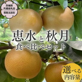 【ふるさと納税】《 2026年 先行予約 》 厳選 2種！恵水 と 秋月 の 食べ比べセット 約3kg ( 5玉〜7玉 ) 約5kg ( 8玉〜10玉 ) 【 茨城県共通返礼品 ／ 常陸太田市 】 2026年9月中旬発送 桧山果樹園 フルーツ 甘い 直送 茨城 限定 ギフト 梨 恵水 秋月 旬 贈答 果物