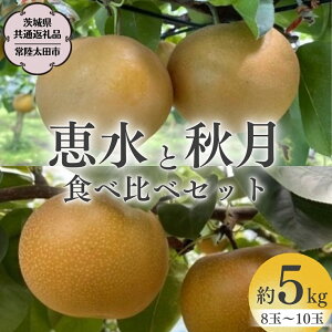 yӂ邳Ɣ[Łzs 2025N s\ t I 2Ib  H  Hה׃Zbg 3kg ( 5ʁ`7 ) 5kg ( 8ʁ`10 ) y 錧ʕԗi ^ 헤cs z 2025N9{ ORʎ t