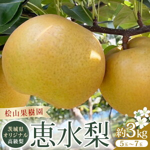 yӂ邳Ɣ[Łzs2025N9{Jnt 錧 IWi   w b x y錧ʕԗi^헤csz 3kg 5kg ORʎ _ƒ ORʎ _ƒ t[c 
