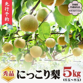 【ふるさと納税】《 先行予約 》 《秀品》 にっこり梨 約5kg 6玉～8玉 （茨城県共通返礼品／かすみがうら市） 鈴木農園 産地直送 フルーツ 甘い 直送 茨城 限定 にっこり