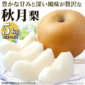 【ふるさと納税】 《2026年9月中旬発送開始》 秋月 梨 約 5kg 10玉〜14玉 （ 茨城県共通返礼品 ／ かすみがうら市 ） なし 鈴木農園 産地直送 フルーツ 甘い 直送 茨城 限定