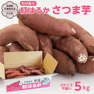 yӂ邳Ɣ[Łzs󂠂t g͂邩 ܈ 5kg STCYs y錧ʕԗi^ssz 󂠂 Y  ܂  ˓cX X[p[cJ_