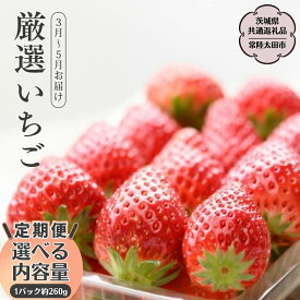 【ふるさと納税】《2026年 先行予約》【定期便 全3回】 厳選いちご 2パック ～ 4パック 2026年3月～5月お届け（茨城県共通返礼品／常陸太田市） フルーツ 苺 イチゴ いちご 新鮮 朝採れ 茨城県 桧山FRUITFARM