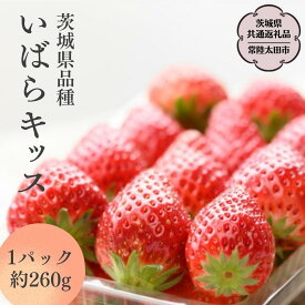 【ふるさと納税】《 2026年 先行予約 》 いばらキッス （ 2パック×1箱 )〜 ( 4パック×1箱 )【茨城県共通返礼品／常陸太田市】 茨城県品種 2026年1月上旬発送開始 フルーツ 苺 イチゴ いちご 新鮮 朝採れ 茨城県 桧山FRUITFARM