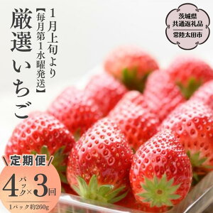 yӂ邳Ɣ[Łzs2026N s\tyR[XzI?2pbN ` 4pbN × 3y1jzi錧ʕԗi^헤cs) 2026N1Jn t[c  C`S  VN