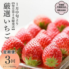 【ふるさと納税】《2026年 先行予約》【定期コース】厳選いちご 2パック ～ 4パック ×3回【第2水曜発送】（茨城県共通返礼品／常陸太田市) 2026年1月発送開始 フルーツ 苺 イチゴ いちご 新鮮 朝採れ 茨城県 桧山FRUITFARM