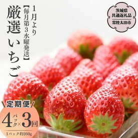 【ふるさと納税】《2026年 先行予約》【定期コース】厳選いちご（ 2パック×1箱 )～ ( 4パック×1箱 ) ×3回【第3水曜発送】（茨城県共通返礼品／常陸太田市) 2026年1月発送開始 フルーツ 苺 イチゴ いちご 新鮮 朝採れ 茨城県 桧山FRUITFARM