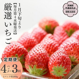 【ふるさと納税】《2026年 先行予約》【定期コース】厳選いちご （ 2パック×1箱 )～ ( 4パック×1箱 ) ×3回【第4水曜発送】（茨城県共通返礼品／常陸太田市) 2026年1月発送開始 フルーツ 苺 イチゴ いちご 新鮮 朝採れ 茨城県 桧山FRUITFARM