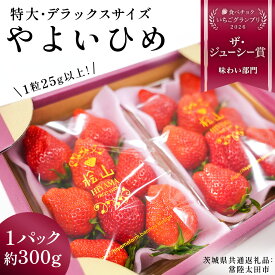【ふるさと納税】《 2027年 収穫分 》 朝摘み やよいひめ 特大・デラックスサイズ 約300g 2パック 4パック (茨城県共通返礼品 常陸太田市) 先行予約 檜山いちご園 国産 朝採り 朝採れ 大粒 いちご イチゴ 苺 くだもの 果物 フルーツ 冬 春 旬
