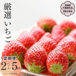 yӂ邳Ɣ[Łzs2026N s\t y ͂R[XzI 2pbN×5i錧ʕԗi^헤csj 2026N1Jn t[c  C`S  VN ̂ 錧
