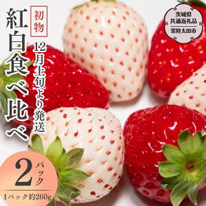 yӂ邳Ɣ[Łzs s\ t g Hה  i 2pbN × 1 ) i錧ʕԗi^헤csj 2025N12{Jn t[c  C`S  VN ̂ 錧 OR