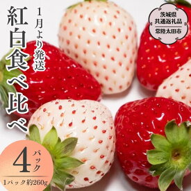 【ふるさと納税】《 2026年 先行予約 》紅白 食べ比べセット いちご（ 2パック × 1箱 ) ~ （ 4パック × 1箱 ) （茨城県共通返礼品／常陸太田市） 2026年1月上旬発送開始 フルーツ 苺 イチゴ いちご 新鮮 朝採れ 茨城県 桧山FRUITFARM