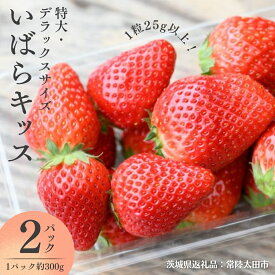 【ふるさと納税】《 2026年 先行予約 》 いばらキッス ( 約300g × 2パック 〜 4パック ) 特大 ・ デラックスサイズ （茨城県共通返礼品／常陸太田市） 茨城県品種 2026年1月から発送開始 フルーツ 苺 イチゴ いちご 新鮮 朝採れ 茨城県 桧山FRUITFARM