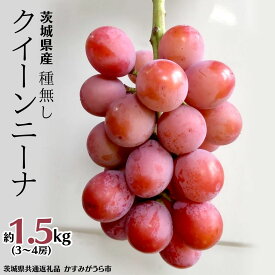【ふるさと納税】【 先行予約 】 茨城県産 クイーンニーナ（種なし）3〜4房（約1.5kg） (茨城県共通返礼品 かすみがうら市) (2026年9月中旬発送開始) 久保田果樹園 産地直送 フルーツ 甘い 直送 茨城 限定 ギフト ぶどう クイーンニーナ 果物