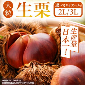 【ふるさと納税】《 先行予約 》 茨城県産 無燻蒸 生栗 2Lサイズ ・ 3Lサイズ 約3kg （ 2025年10月上旬発送開始 ） 産地直送 久保田果樹園 茨城 栗 くり 季節 秋 旬 直送