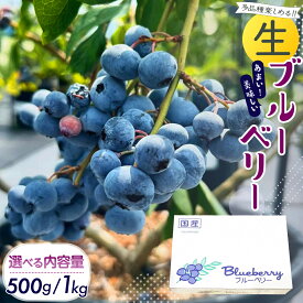 【ふるさと納税】 茨城県産 生 ブルーベリー 500g 1kg 多品種 果実 果物 くだもの フルーツ おやつ ブルーベリー ベリー ジャム 小分け