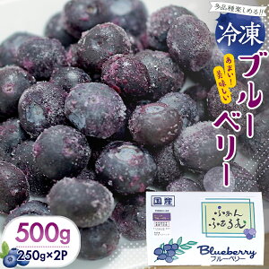 yӂ邳Ɣ[Łz s2025N7{甭Jnt 錧Y Ⓚ u[x[ v 500g (250g×2) i ʎ ʕ  t[c  u[x[ x[ W 