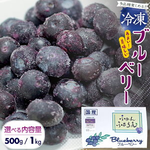 yӂ邳Ɣ[Łz 錧Y Ⓚ u[x[ v 500g ` 1kg (250g×2܁^4)y2025N7{甭Jnz i ʎ ʕ  t[c  u[x[ x[ W 